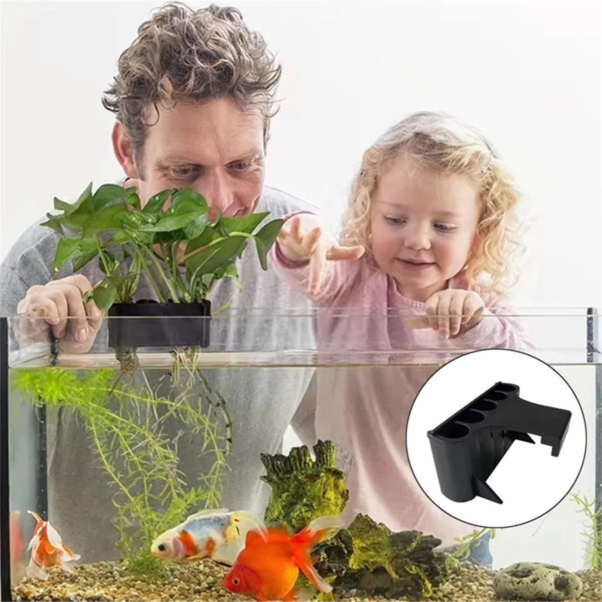 Emersed Plants Aquarium - (ABAB) Aquarium Plant Holder Aquarium Hanging