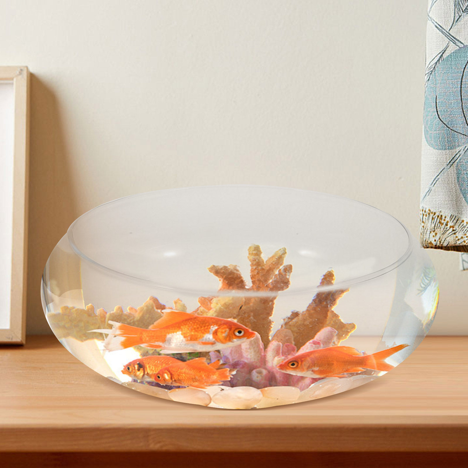 Planted Aquarium For Goldfish - Premium Transparent Glass Fish Bowl Small