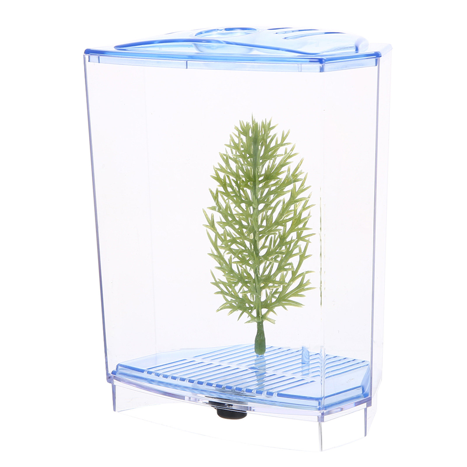 Planted Aquarium For Goldfish - Mini Fish Tank Clear Plastic Aquarium