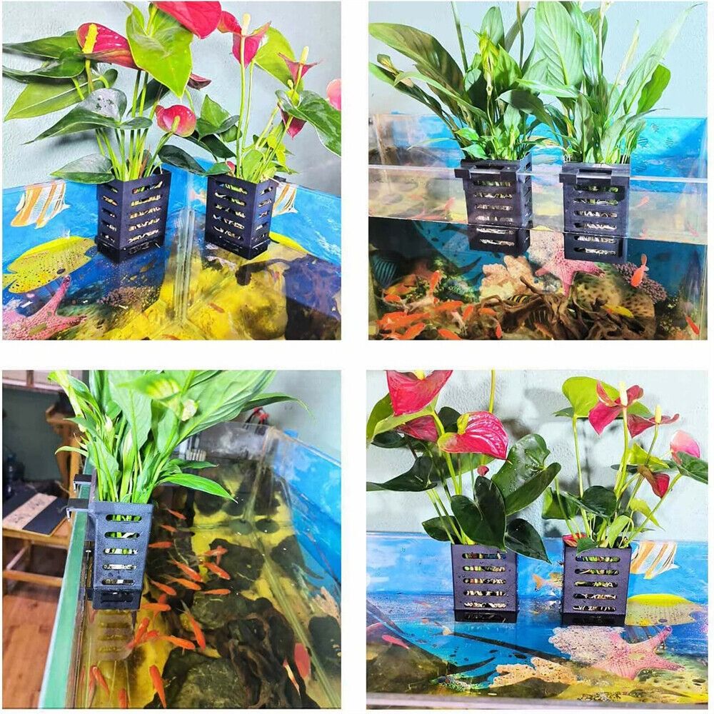 Emersed Plants Aquarium - Water Plant Landscape Aquarium Plant Holder