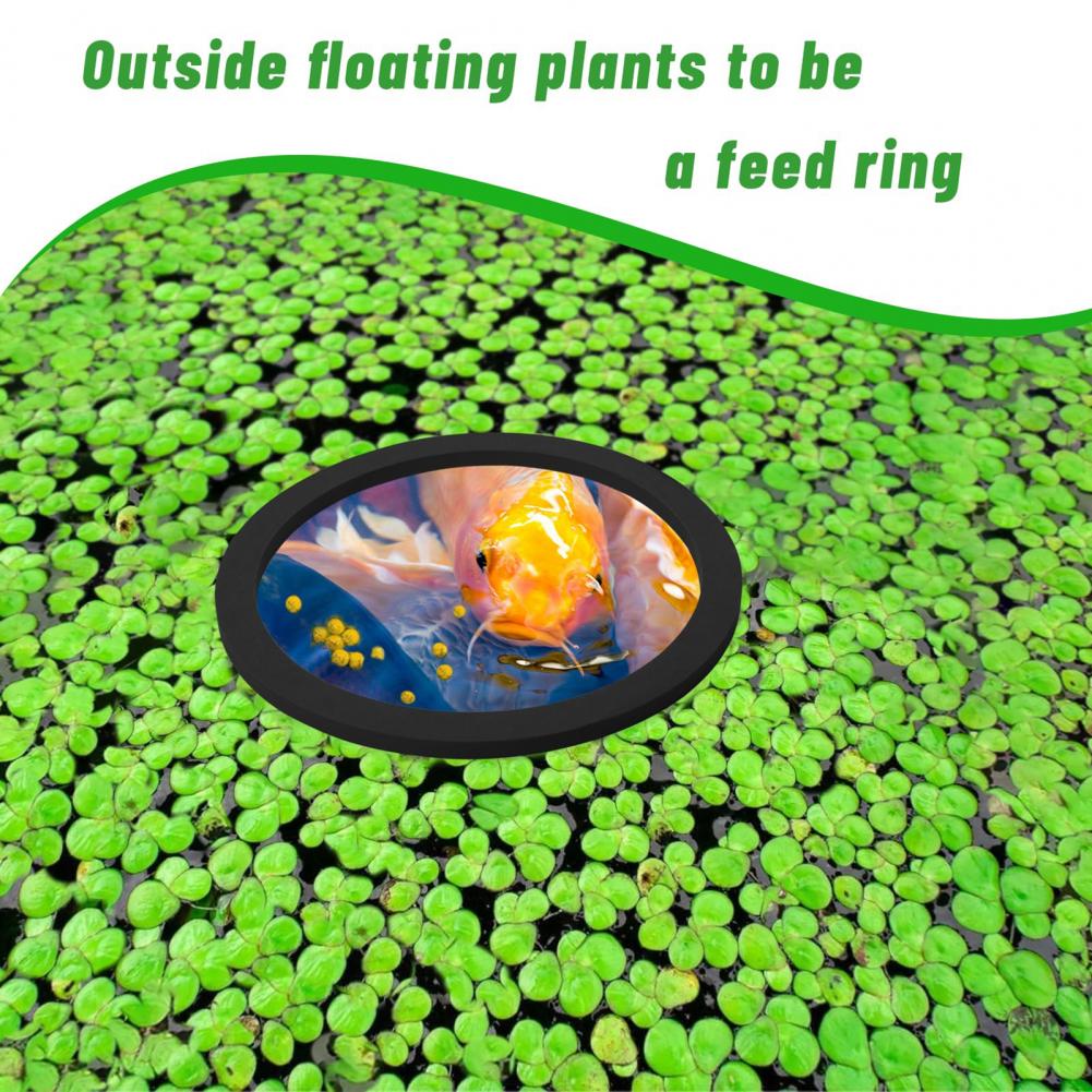 Planted Aquarium For Goldfish - Eva Foam Floating Ring for Fish