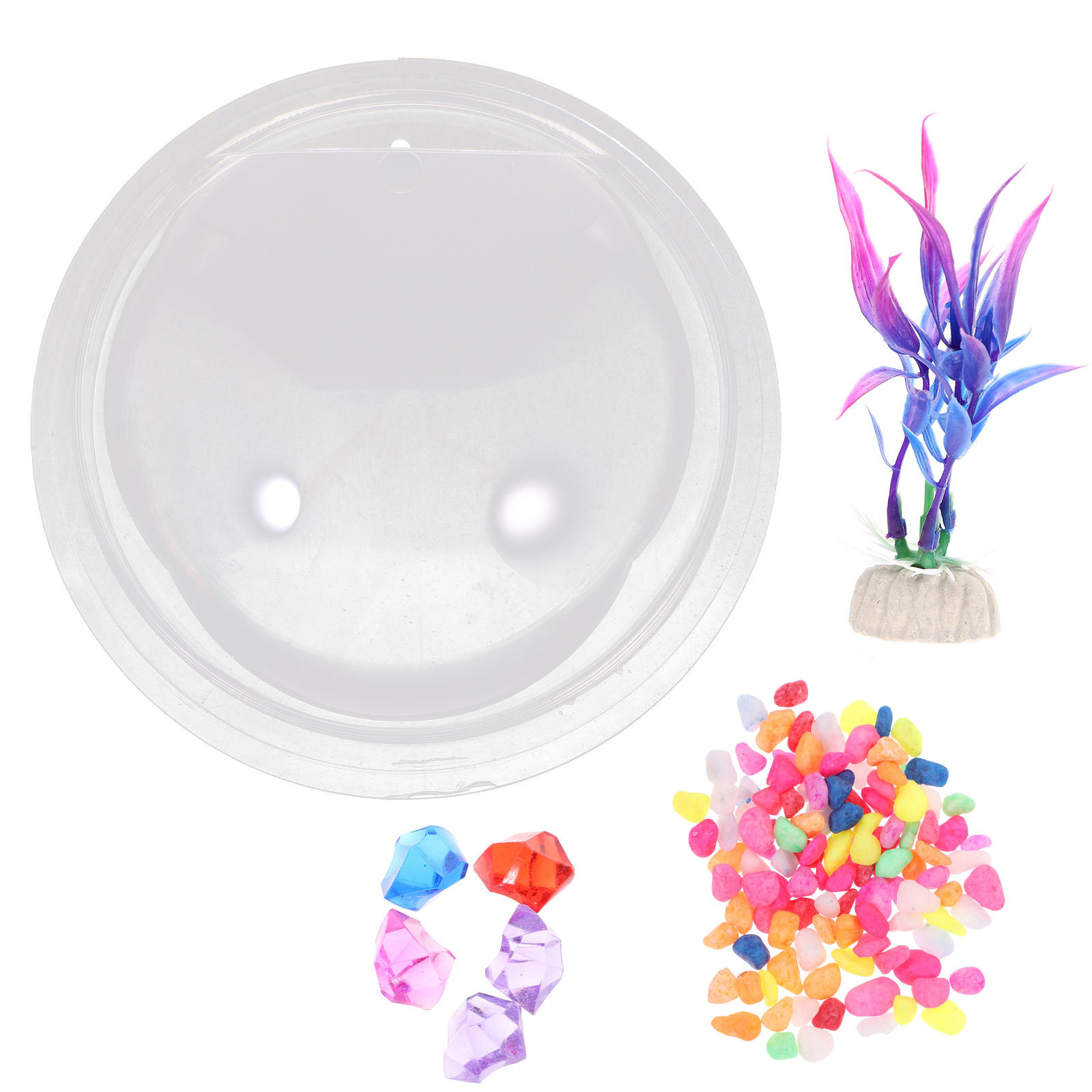 Planted Aquarium For Goldfish - Wall Mounted Acrylic Fish Tank Transparent