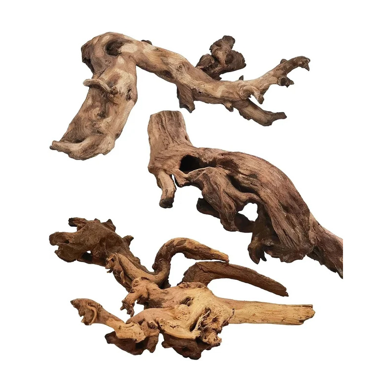 Natural Driftwood for Aquarium - Aquarium Planted Tree ulasan dan harga