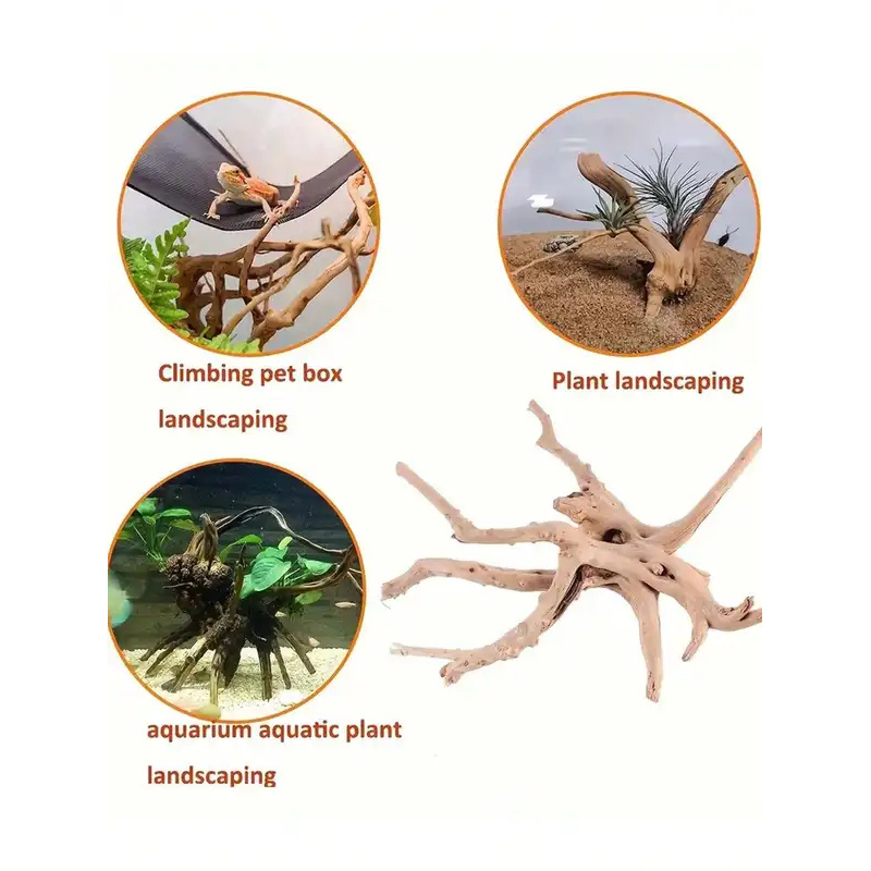 Natural Driftwood for Aquarium - Aquarium Planted Tree ulasan dan harga