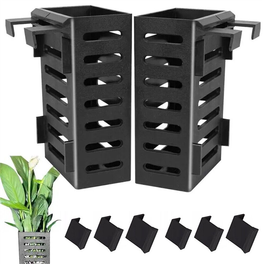 Water Plant Landscape Aquarium - Emersed Plants Aquarium ulasan dan harga