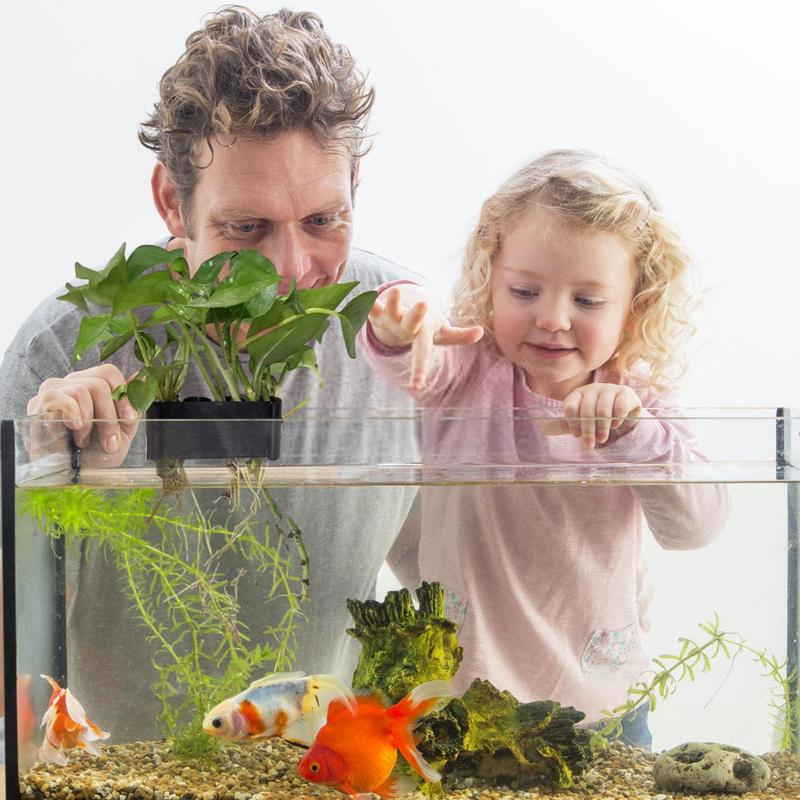 Hanging Aquarium Plant Holder  - Emersed Plants Aquarium ulasan dan harga