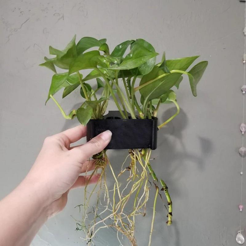 Hanging Aquarium Plant Holder  - Emersed Plants Aquarium ulasan dan harga