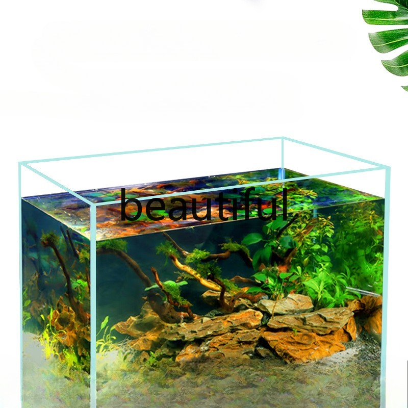 Jinjing ultra-white glass fish - Planted Aquarium For Goldfish ulasan dan harga