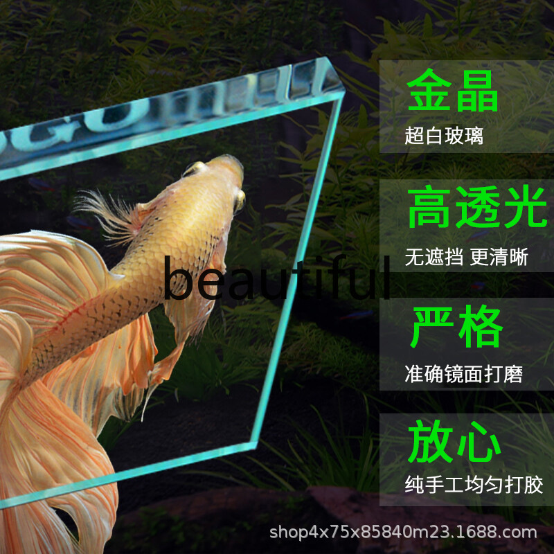 Jinjing ultra-white glass fish - Planted Aquarium For Goldfish ulasan dan harga