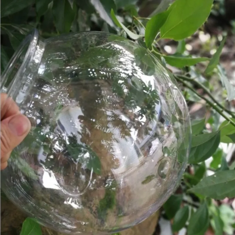 Goldfish bowl desktop transpar - Planted Aquarium For Goldfish ulasan dan harga