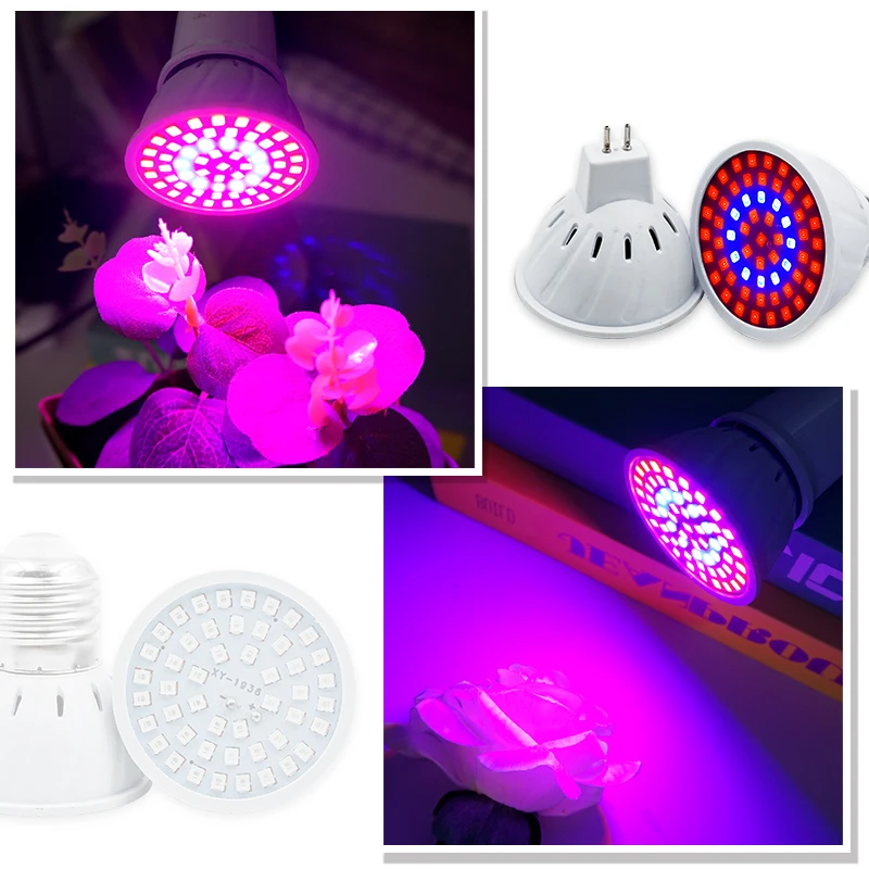 Phyto Lamp Full Spectrum LED G - Led Planted Tank Light ulasan dan harga