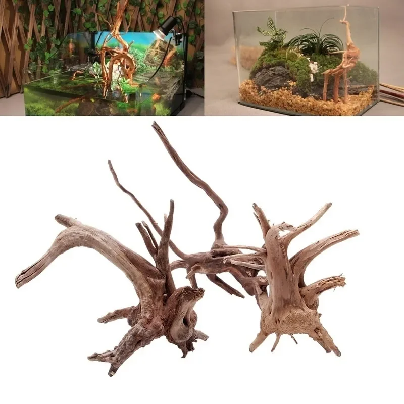 Natural Tree Trunk Driftwood A - Aquarium Planted Tree ulasan dan harga