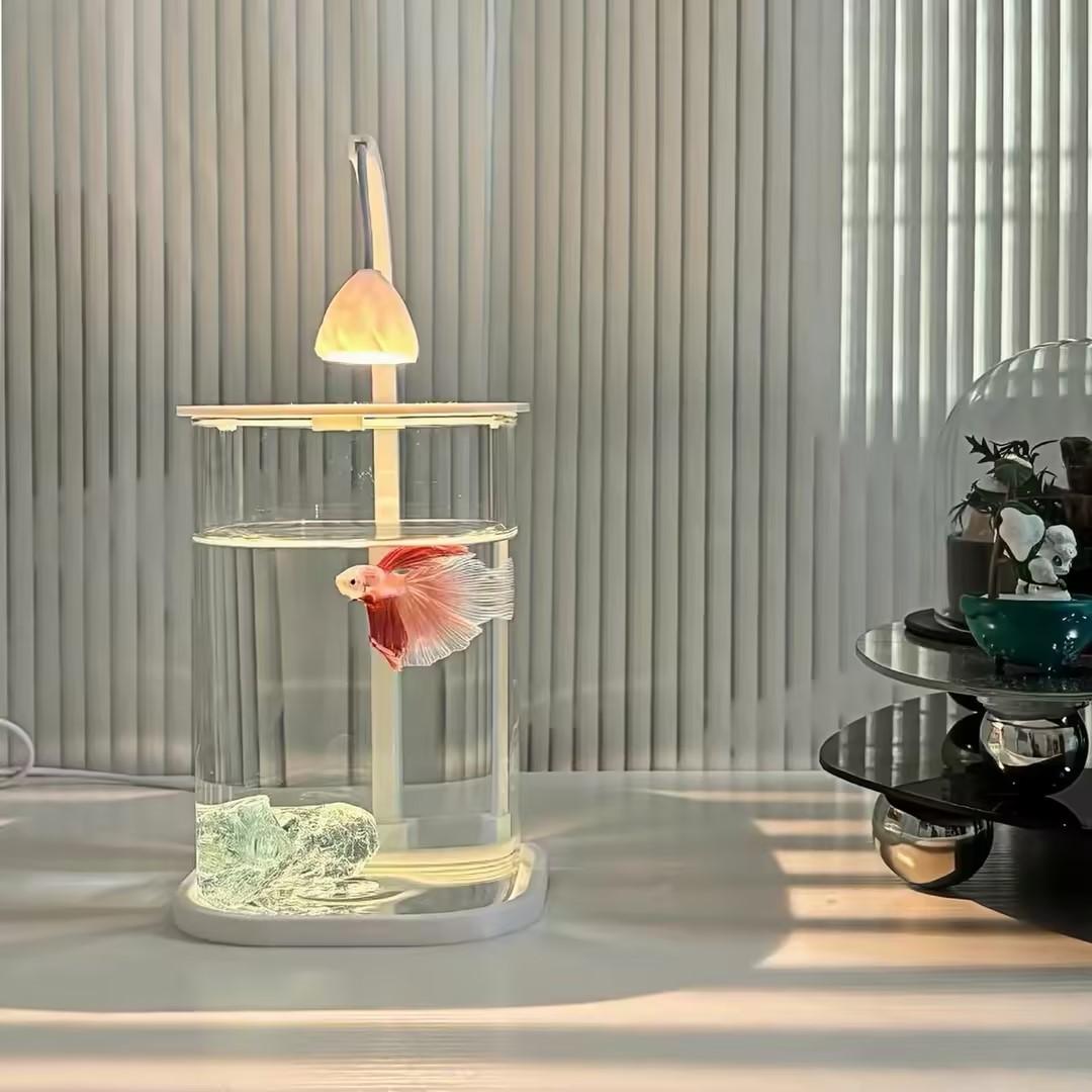 360° Panoramic Clear Desktop F - Planted Aquarium For Goldfish ulasan dan harga