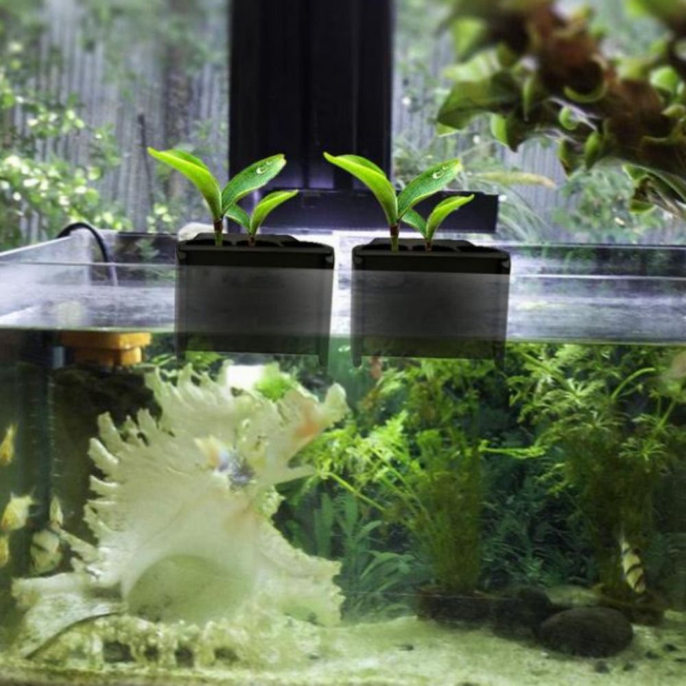 With Integrated Hook Aquarium  - Emersed Plants Aquarium ulasan dan harga
