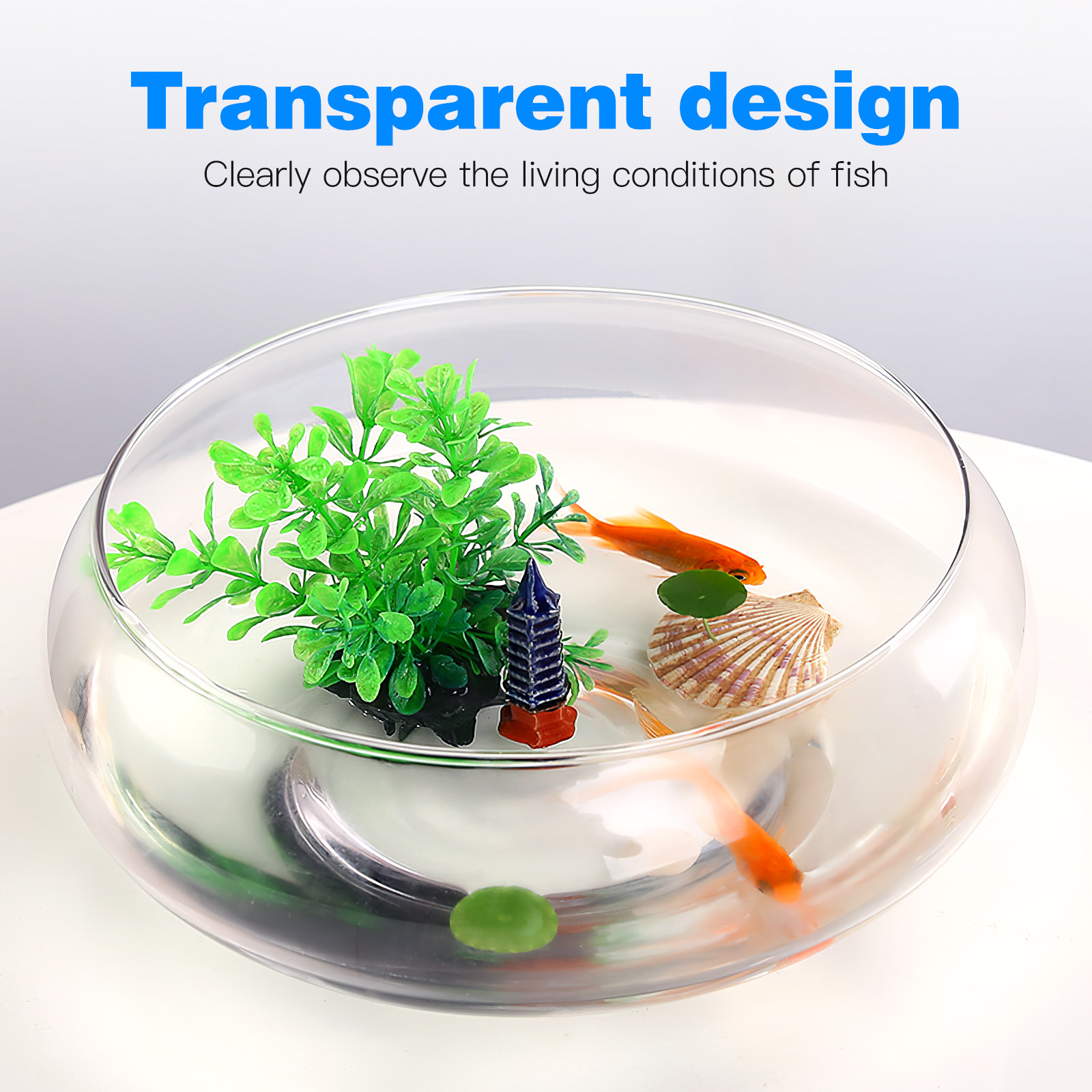 2800Ml Decorative Desktop Fish - Planted Aquarium For Goldfish ulasan dan harga