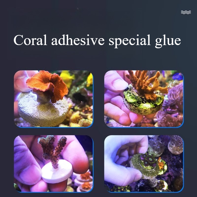 SPS LPS Coral Reef Frags Plug  - Aquarium Plant Glue Gel ulasan dan harga