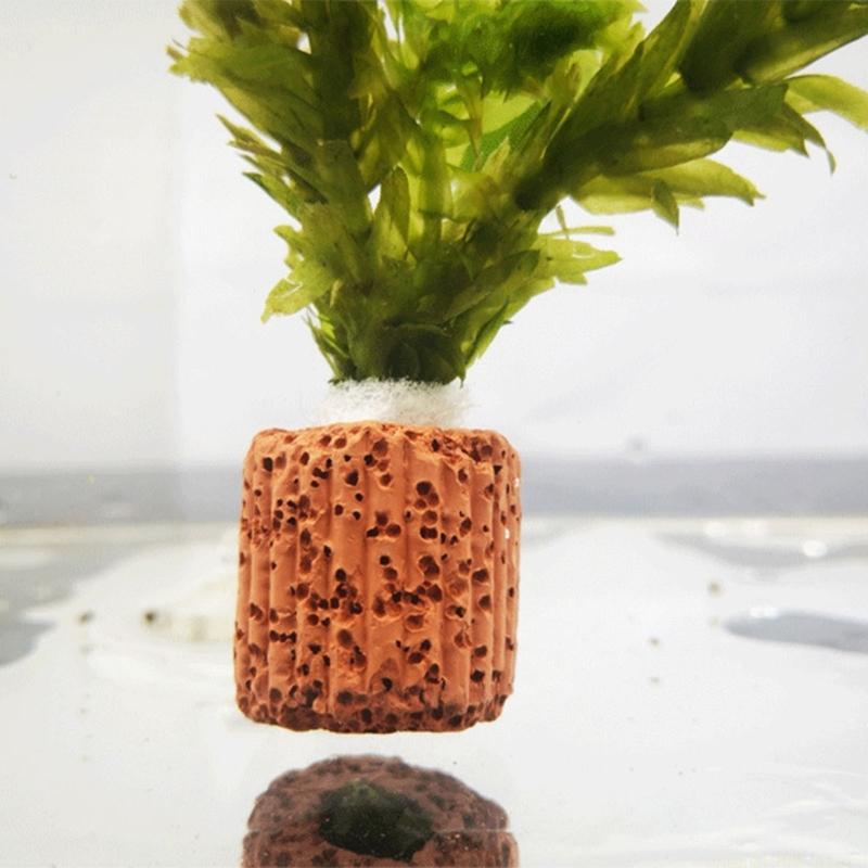 QX2E Paottery Aquariums Plant  - Emersed Plants Aquarium ulasan dan harga