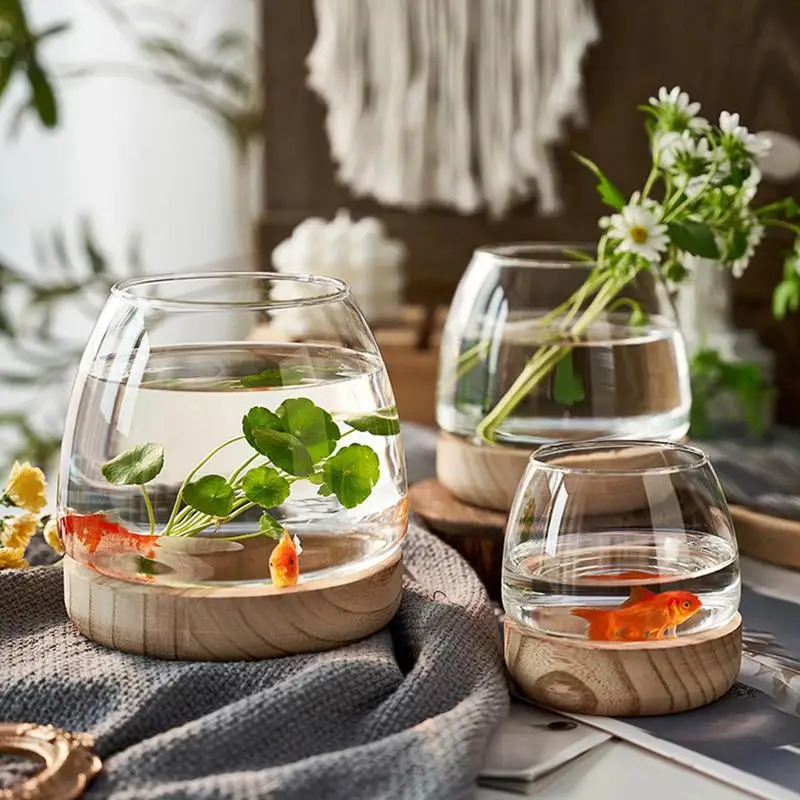 Decorative Round Glass Fish Ta - Planted Aquarium For Goldfish ulasan dan harga