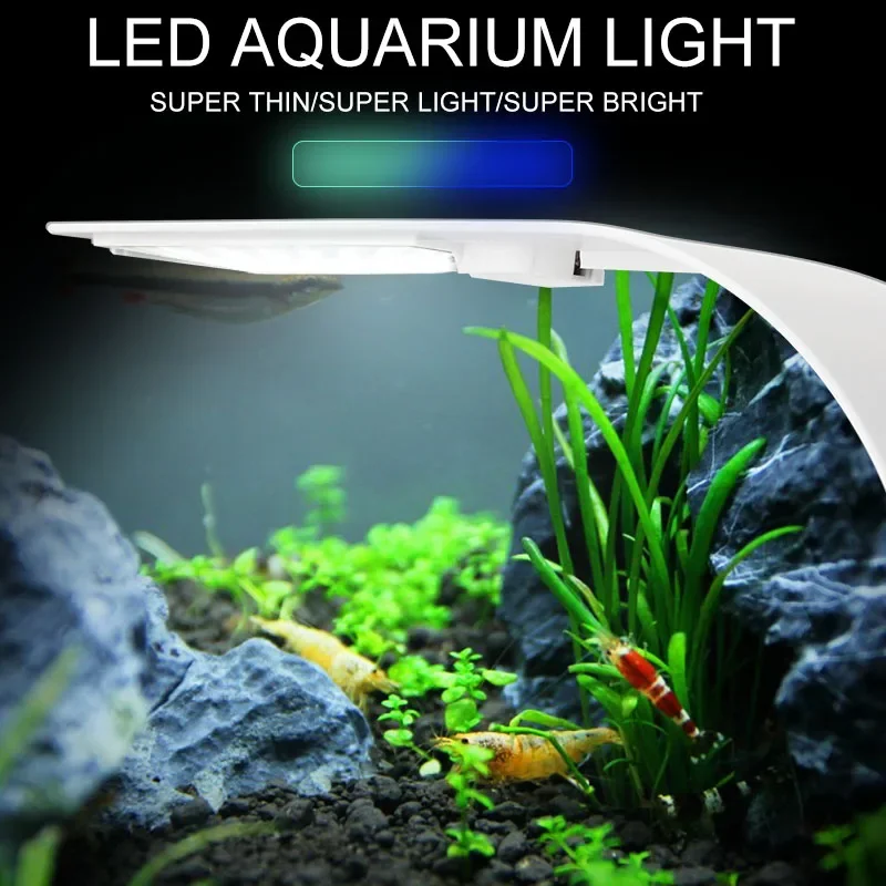 Super Slim LED Aquarium Light  - Planted Aquarium Pictures ulasan dan harga