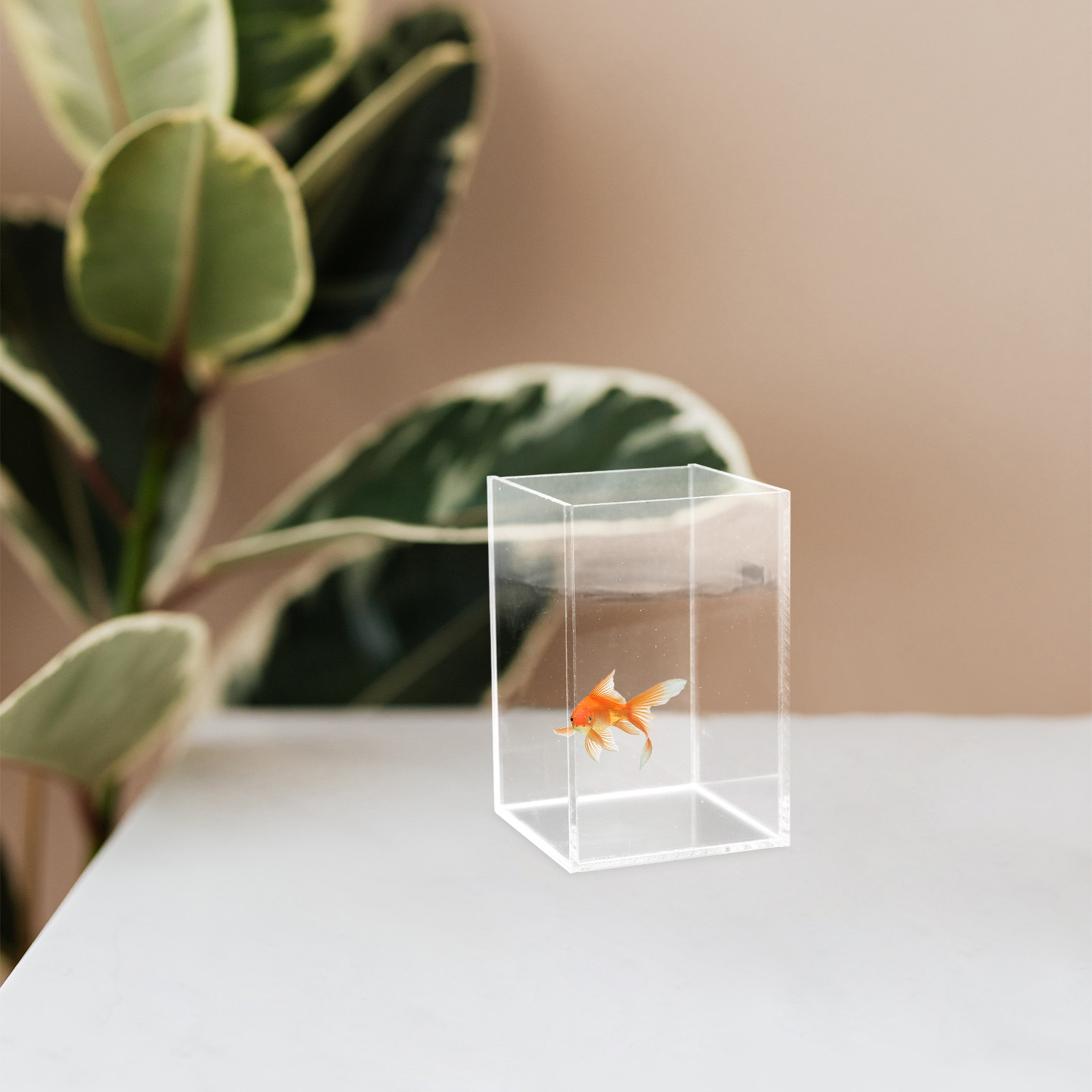 Sturdy Acrylic Desktop Aquariu - Planted Aquarium For Goldfish ulasan dan harga