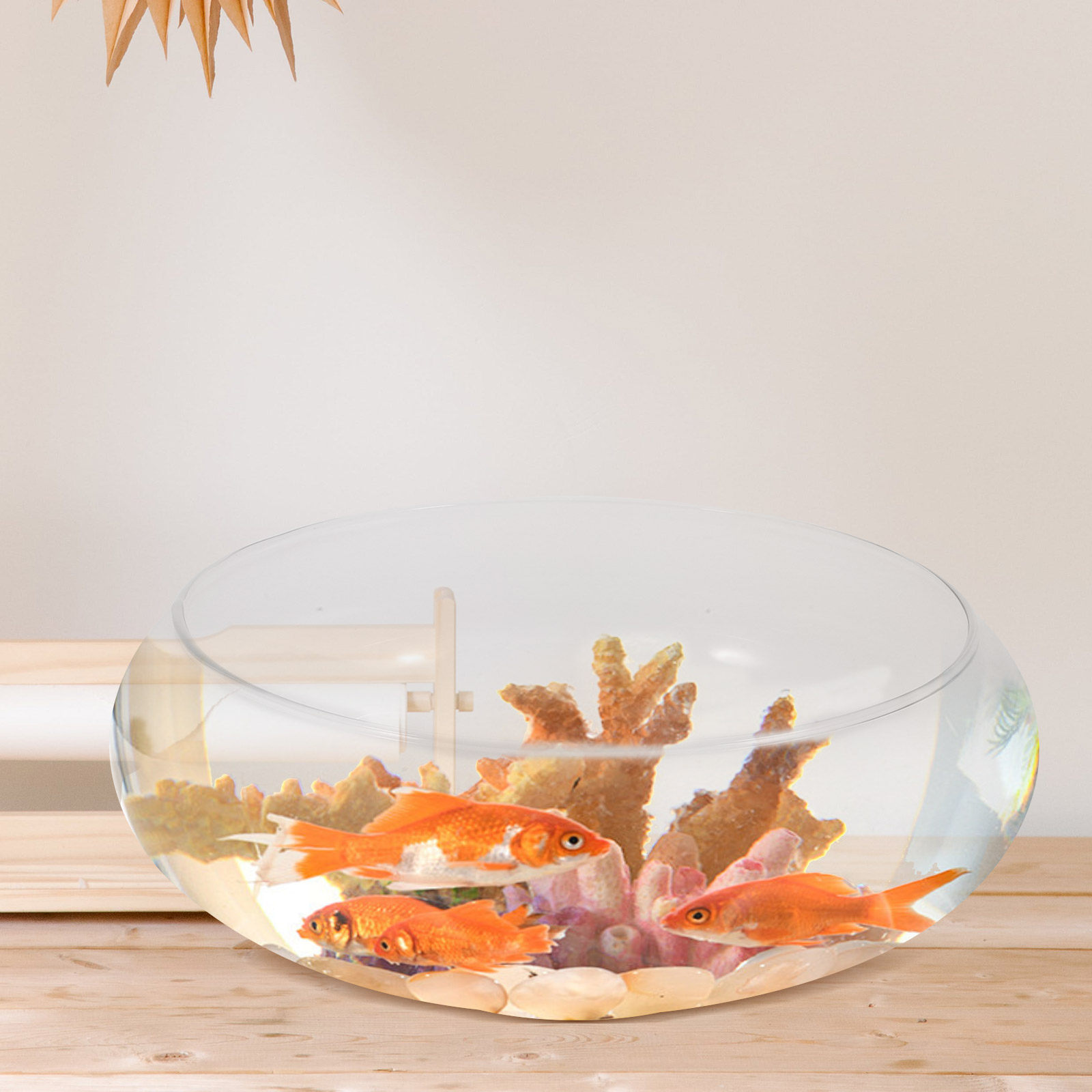 Premium Transparent Glass Fish - Planted Aquarium For Goldfish ulasan dan harga
