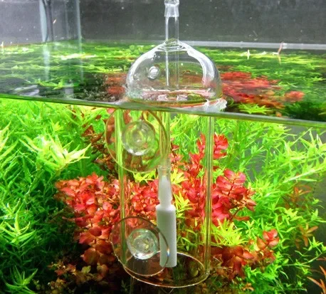 VIV DO DEVICE Aquarium Cylinde - Planted Aquarium Air Stone ulasan dan harga