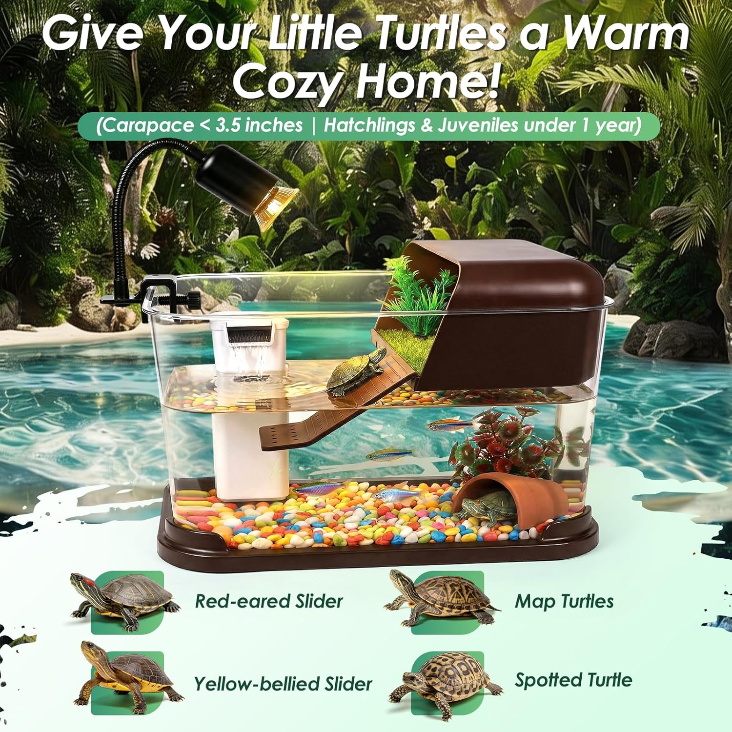 Turtle Tank Starter Kit,PC Tur - Planted Aquarium Starter Kit ulasan dan harga