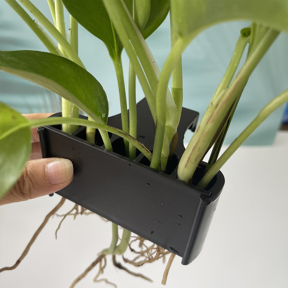 Hanging Aquarium Plant Holder  - Emersed Plants Aquarium ulasan dan harga
