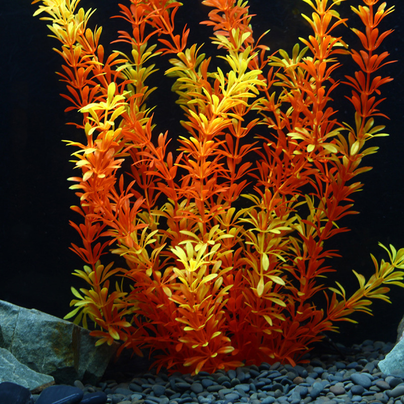 100cm Tropical Plants Large Ar - Aquarium Planted Tree ulasan dan harga