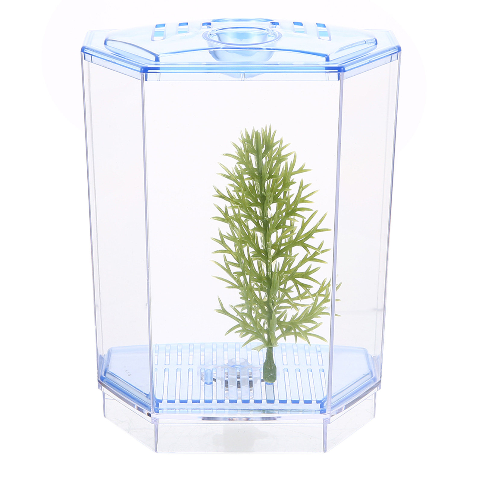 Mini Fish Tank Clear Plastic A - Planted Aquarium For Goldfish ulasan dan harga