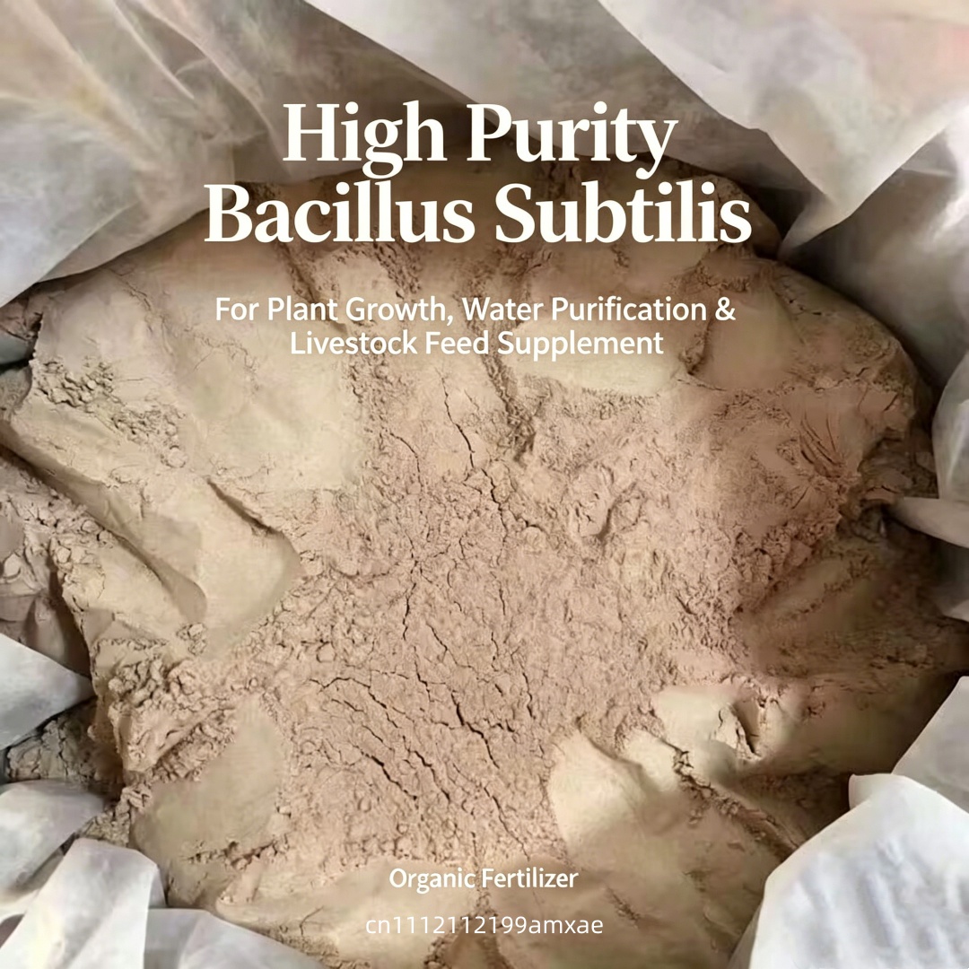 High Activity Bacillus Subtili - Planted Aquarium Fertilizer ulasan dan harga