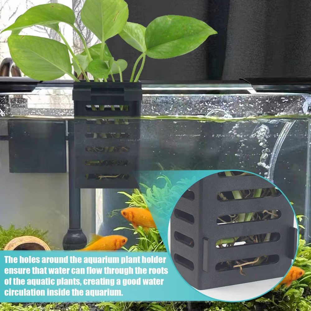 Hydroponic Aquarium Glass Plan - Emersed Plants Aquarium ulasan dan harga