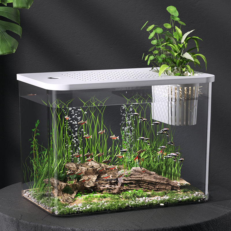 Plastic Aquarium With Lid Clea - Planted Aquarium For Goldfish ulasan dan harga