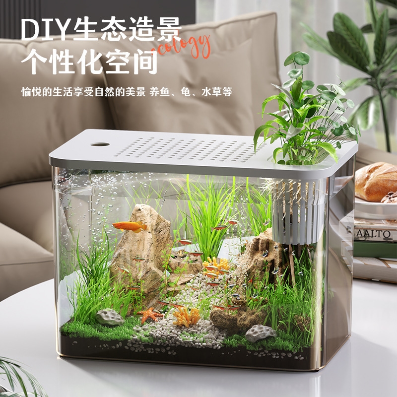Plastic Aquarium With Lid Clea - Planted Aquarium For Goldfish ulasan dan harga
