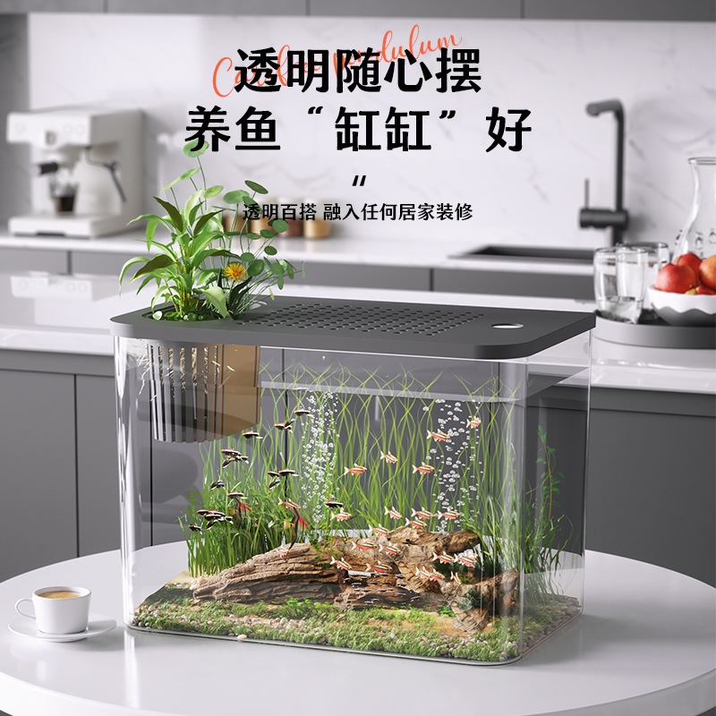 Plastic Aquarium With Lid Clea - Planted Aquarium For Goldfish ulasan dan harga