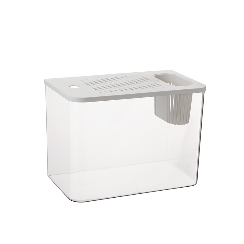 Plastic Aquarium With Lid Clea - Planted Aquarium For Goldfish ulasan dan harga