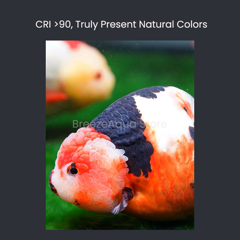 MAYIN Super Colour 100W Freshw - Planted Aquarium For Goldfish ulasan dan harga