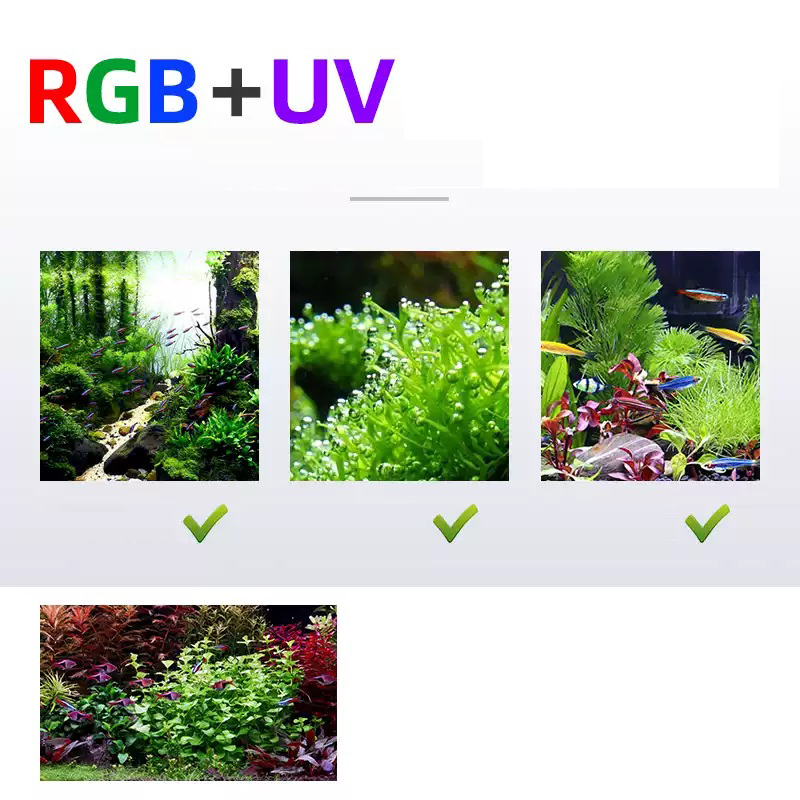 Led Lighting 60cm 80cm 90cm RG - Planted Aquarium Uv Light ulasan dan harga