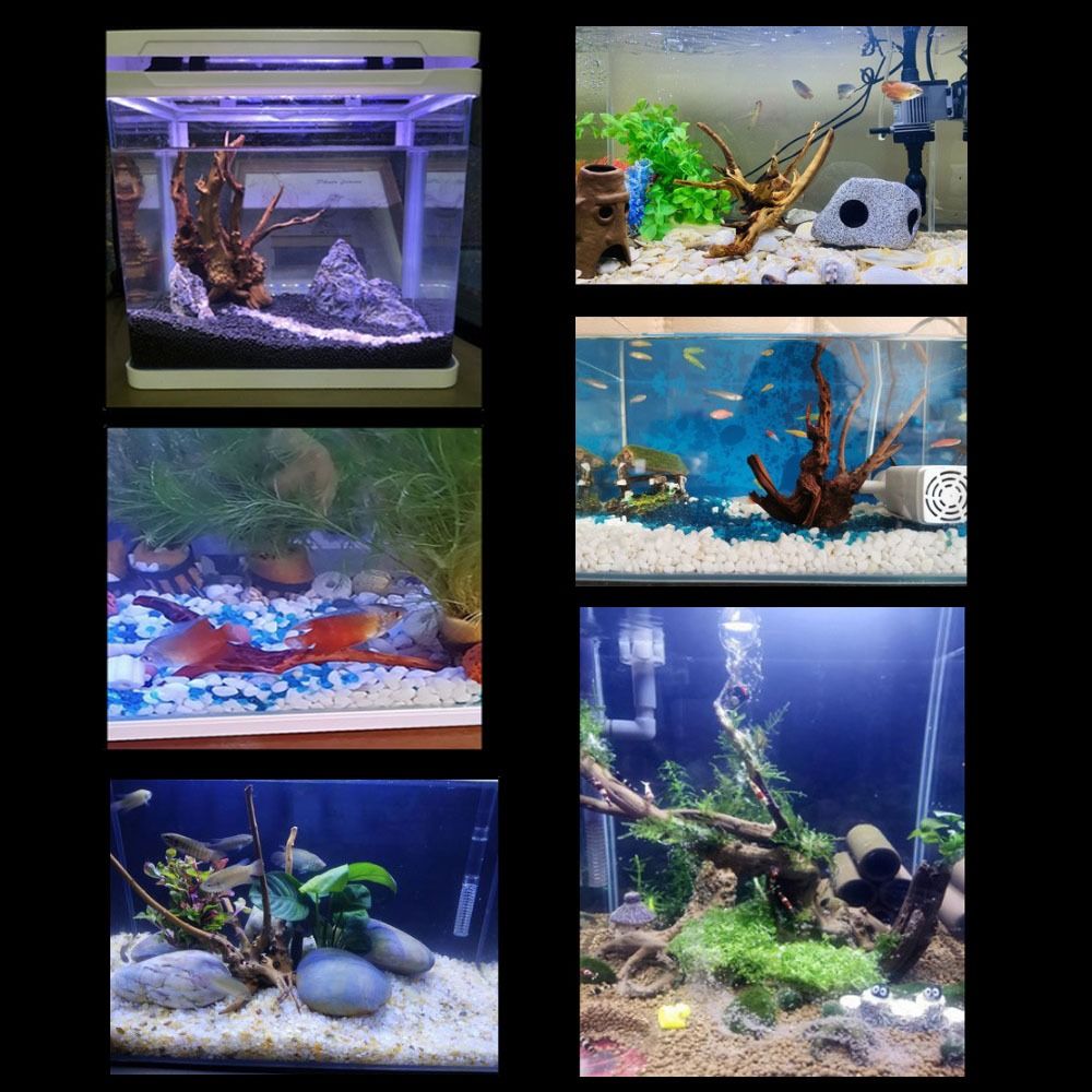 20-25CM Large Aquarium Driftwo - Aquarium Planted Tree ulasan dan harga