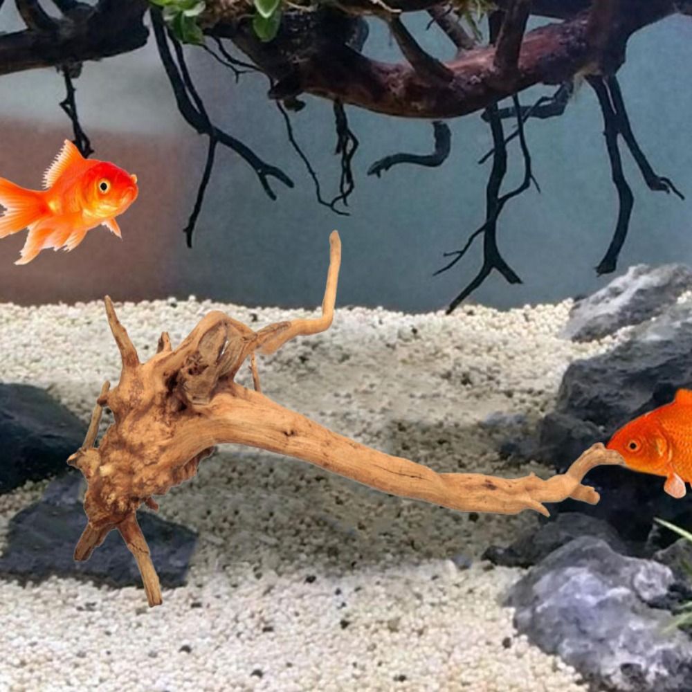 20-25CM Large Aquarium Driftwo - Aquarium Planted Tree ulasan dan harga