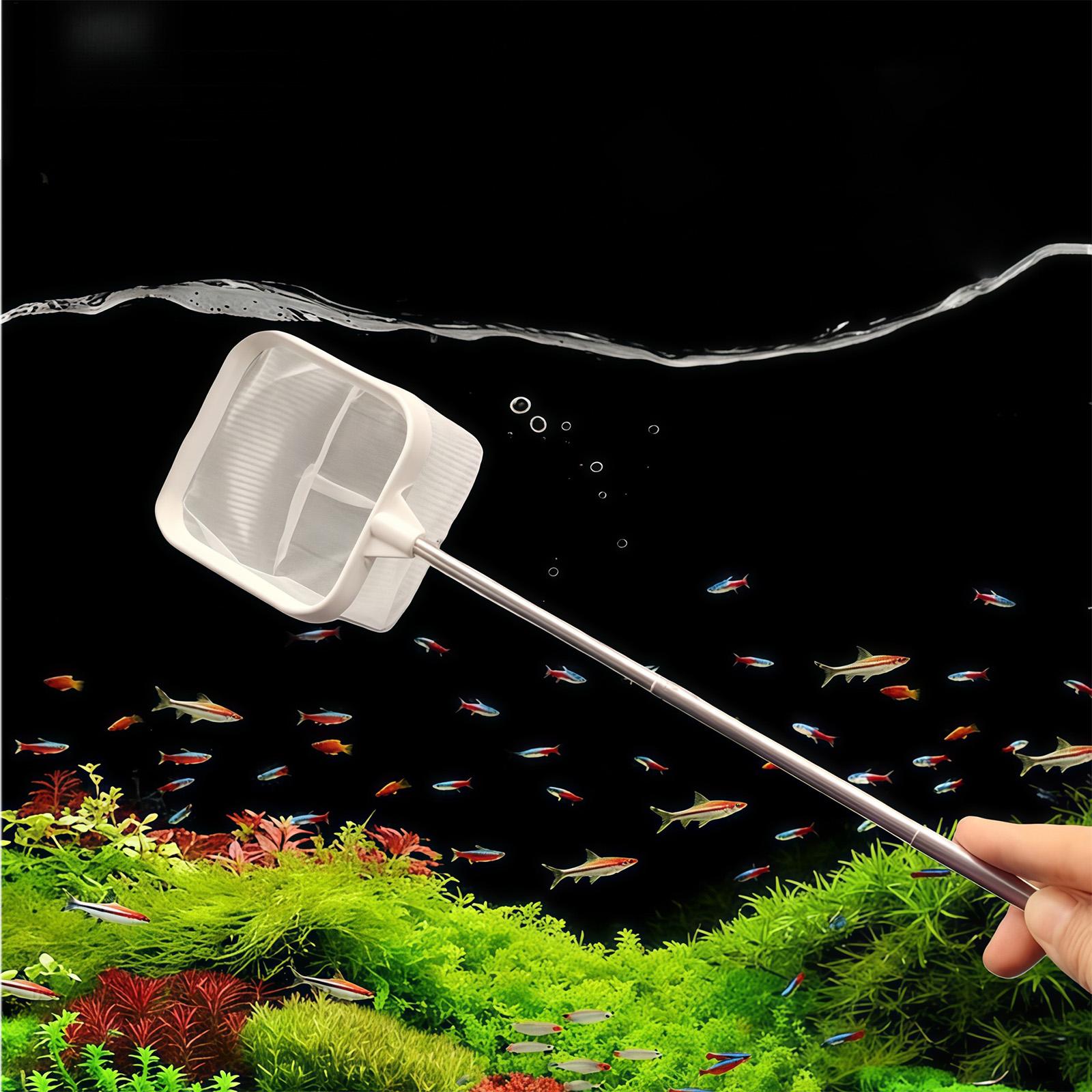 Extendable Long Handle Fine Me - Aquarium Planted Tree ulasan dan harga