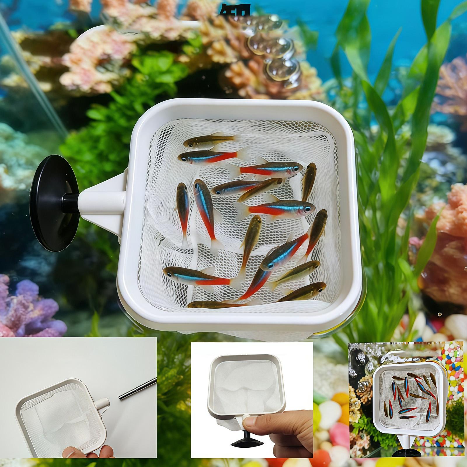 Extendable Long Handle Fine Me - Aquarium Planted Tree ulasan dan harga