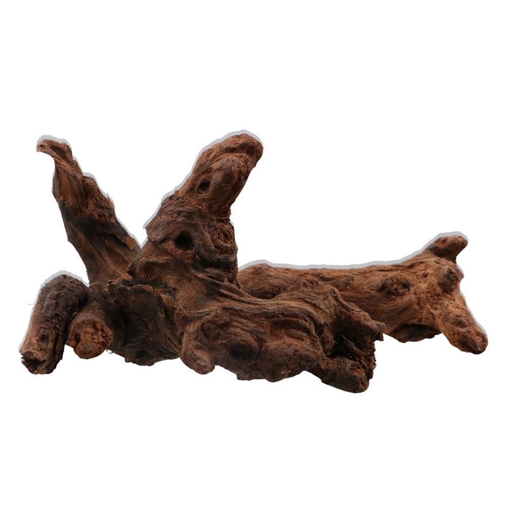 Creative Irregular Shape Coral - Aquarium Planted Tree ulasan dan harga