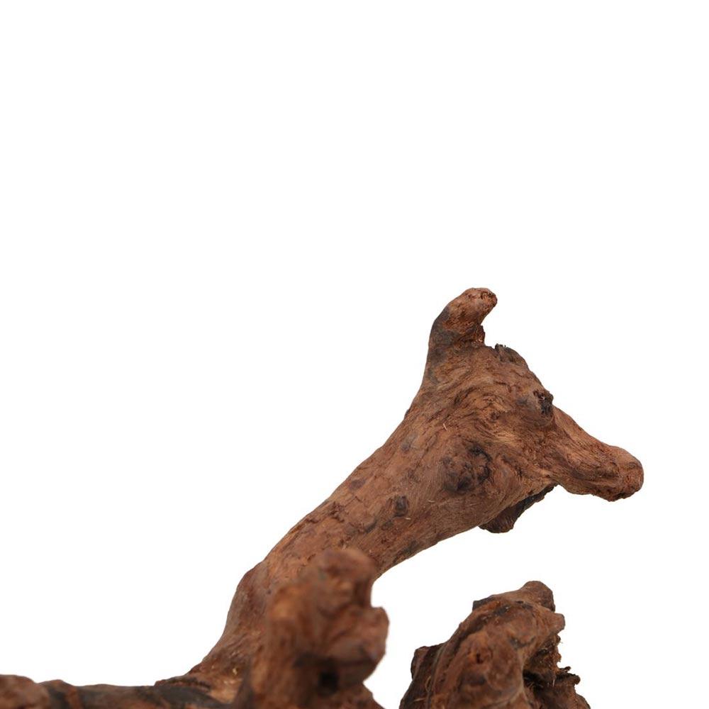 Creative Irregular Shape Coral - Aquarium Planted Tree ulasan dan harga