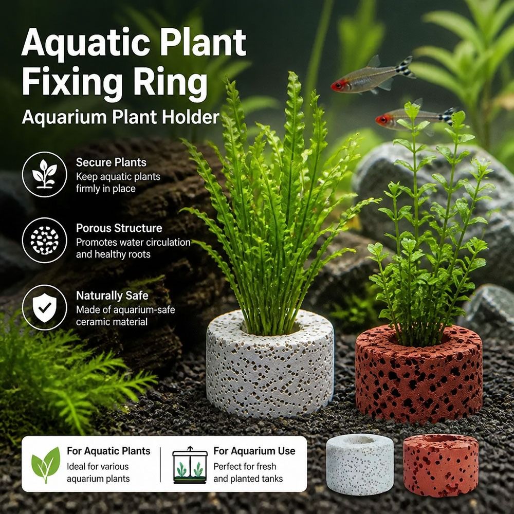 10Pcs Weighted Ring Aquatic Pl - Planted Aquarium Pictures ulasan dan harga