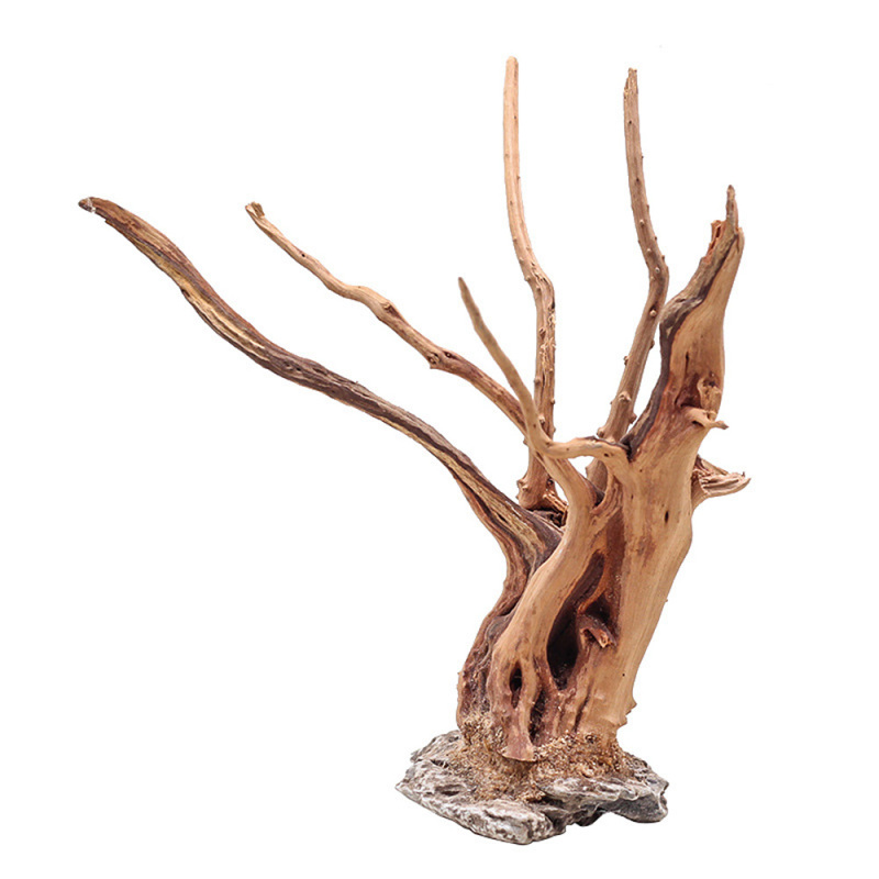 1PC Aquarium Landscaping Wood  - Aquarium Planted Tree ulasan dan harga