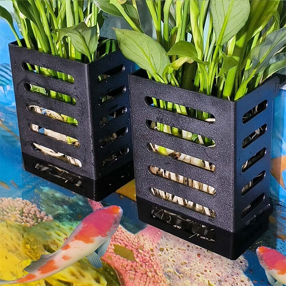 Hydroponic Aquarium Plant Hold - Emersed Plants Aquarium ulasan dan harga