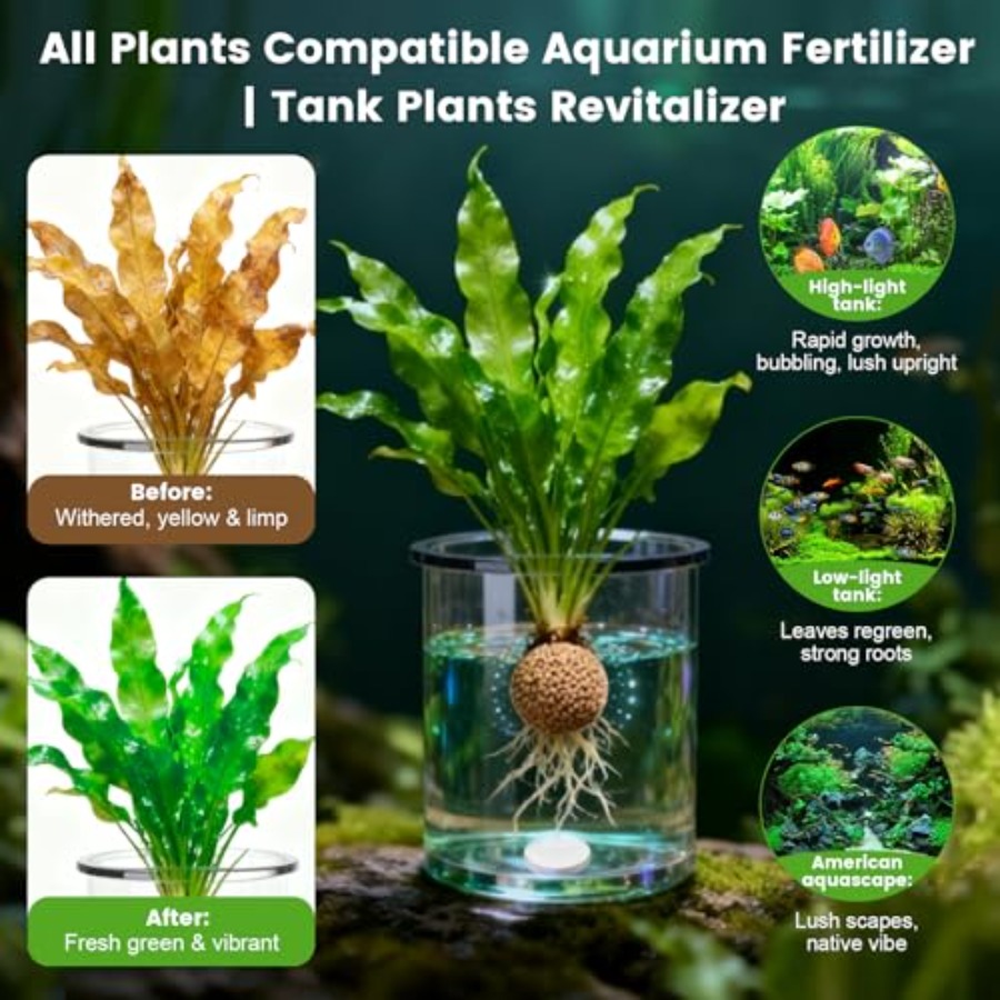 Root Tabs, Aquarium Plant Fert - Planted Aquarium Fertilizer ulasan dan harga