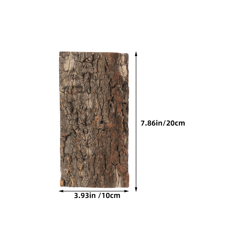 3pcs Cork Bark For Reptiles Te - Aquarium Planted Tree ulasan dan harga