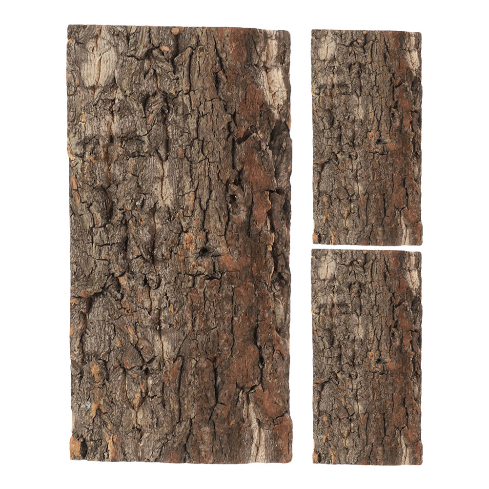 3pcs Cork Bark For Reptiles Te - Aquarium Planted Tree ulasan dan harga